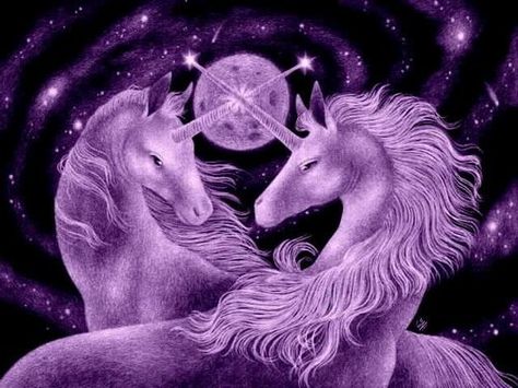 Gemini's described as the sign of The Twins.. Why? The twins represent a dual type of mind, someone who sees both sides of a question and jumps with interest to every new idea presented. Magical Portal, Unicorn Backgrounds, Unicorn Picture, Unicornios Wallpaper, Unicorn Images, Unicorn And Fairies, Unicorn Photos, Purple Things, Real Unicorn