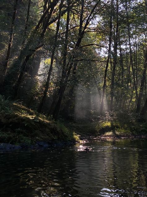 Forest Stream Aesthetic, Dark Oregon Aesthetic, Bridget Core, Janecore Aesthetic, Danielle Core, Forest With River, Oregon Scenery, River In The Forest, Noah Kahan Stick Season