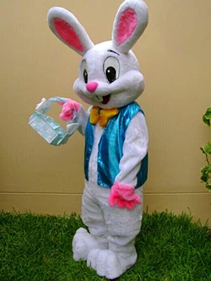 Amazon.com: Easter Rabbit Bunny Rabbit Mascot Costume Adult Size Fancy Dress Halloween: Clothing Cartoon Fancy Dress, Bunny Mascot, All Cartoon Characters, Dress Cartoon, Easter Costume, Cartoon Character Costume, Adult Fancy Dress, Adult Easter, Rabbit Costume