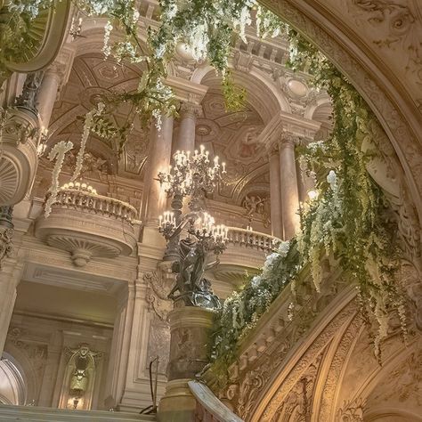 Ivy, Chandeliers, The Ceiling, Ceiling, Building