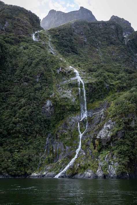 BEST Milford Sound Tour From Queenstown (2024 Guide) 3 New Zealand, Visit New Zealand, Milford Sound, Mirror Lake, Misty Forest, South Island, Queenstown, Tour Guide, Day Trip