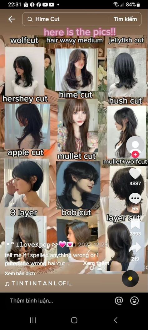 Wolf Cut On Long Hair Straight, Haircuts For People With Straight Hair, Furina Haircut Irl, Mullet Layer Haircut, Kawaii Haircuts Long, Hair Color Mapping, Different Bangs Styles Short Hair, Short Hair Anime Style, Japanese Hair Ideas
