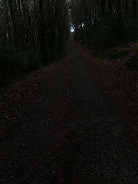 Nature, Walking In The Woods At Night, Dull Aesthetic, Rachel Price, Walking Aesthetic, Spooky Woods, October Books, Holly Jackson, Forest Dark