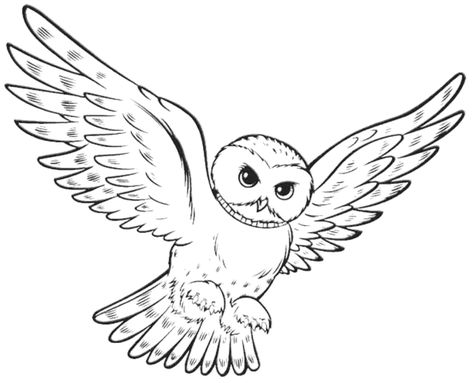 owl free coloring pages - Cool Owl Coloring Pages Ideas Harry Potter Clip Art, Hedwig Harry Potter, Harry Potter Coloring Book, Harry Potter Coloring Pages, Owl Coloring, Harry Potter Colors, Harry Potter Owl, Harry Potter Hedwig, Deep Space Sparkle