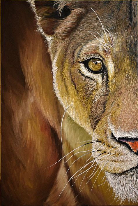 Elena Adele Dmitrenko - Paintings for Sale | Artfinder Lioness Painting, Painted Vans, Avengers Art, Wildlife Artwork, Spirit Animal Art, Animals And Birds, Commissioned Artwork, Bird Artwork, Animal Painting