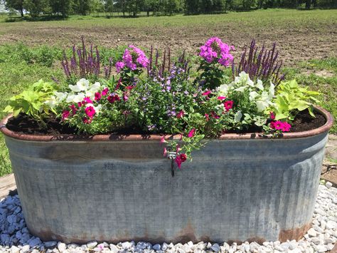 Horse trough Plant Trough Ideas, Large Trough Planter Ideas, Cattle Trough Garden, Trough Flower Garden, Metal Horse Trough Planters, Water Trough Flower Planter, Landscaping With Galvanized Tubs, Trough Flower Arrangements, Flowers In Horse Trough