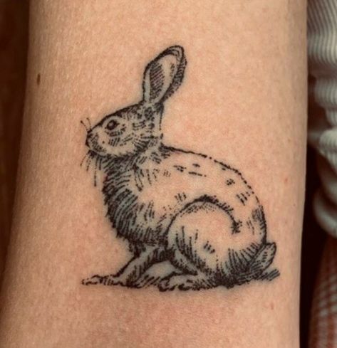 Realistic Bunny Tattoo, Realistic Rabbit Tattoo, Lionhead Bunny Tattoo, Fine Line Rabbit Tattoo, Rabbit Head Tattoo, Traditional Bunny Tattoo, Jackrabbit Tattoo, Tattoo Hase, Rabbit Foot Tattoo