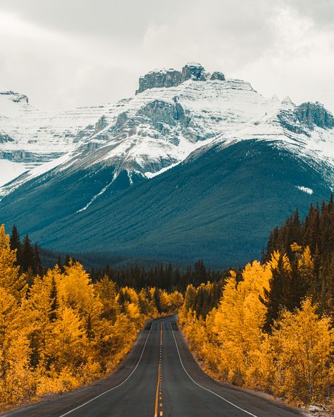 What To Do In Banff This Fall Season: A Foliage Guide | finally Fall is here! My absolute FAVORITE season! My first time visiting Banff was during the summer of 2016. The only pictures I had seen of the park were of Moraine Lake, and BOY did that blue capture my heart. Summer was great and all, but when I heard that Banff National Park was just as beautiful in the fall, I knew I HAD to come back. | Visit Banff in the Fall | Exploring Canada in the Fall | Banff Fall Travel Banff Canada Fall, Banff In Fall, Banff Picture Ideas, Banff Fall, Fall Canada, Canada Autumn, Canada Honeymoon, Canada Fall, Backpacking Canada