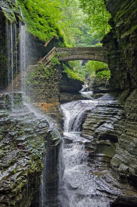 Watkins Glen State Park, Watkins Glen, Safe Place, Pretty Places, Dream Vacations, Vacation Spots, State Park, Belle Photo, Travel Dreams