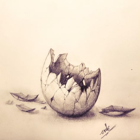 What was in there? Egg Shell Pencil Drawing. Croquis, Dragon Egg Art Drawing, Snake Egg Drawing, Dragon Hatching From Egg Drawing, Dinosaur Egg Tattoo, Dinosaur In Egg Drawing, Hatching Egg Drawing, Dino Egg Drawing, Egg Shells Art