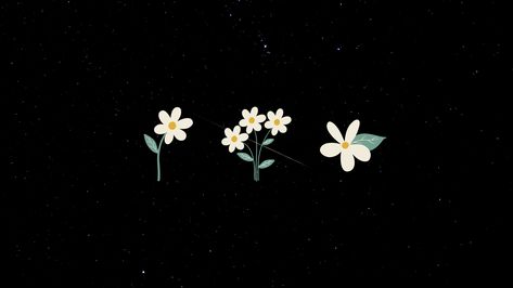 Image For Laptop Wallpaper, Mac Wallpaper Dark Aesthetic, Wallpaper For Laptop Aesthetic Dark, Laptop Wallpaper Academia, Simple Laptop Wallpaper Hd, Desktop Wallpaper Flowers Aesthetic, Simple Wallpaper For Laptop, Art Laptop Wallpaper Hd, Flower Keyboard Wallpaper