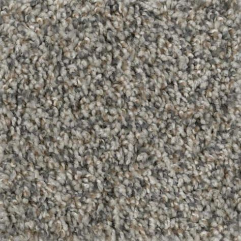 Performance Carpet, Home Depot Flooring, Polypropylene Carpet, Texture Carpet, Indoor Outdoor Carpet, Carpet Samples, Brown Carpet, Indoor Carpet, Carpet Padding