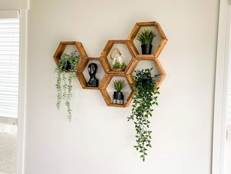 Set of 6 Hexagon Shelves Honeycomb Shelves Plant Shelves - Etsy Australia Plant Shelves Wall, Honeycomb Wall Decor, Long Wood Box, Hanging Plant Decor Ideas, Shelves Wall Decor, Hanging Plant Decor, Design Walls, Plant Decor Ideas, Provincial Stain