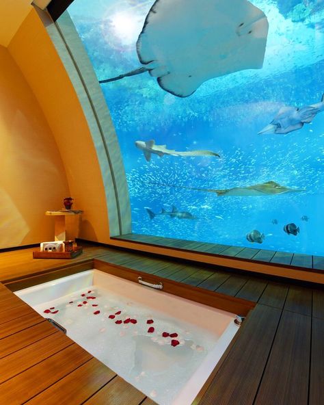 Resorts World Sentosa, Singapore. They have six separate hotels & the photo above is part of the Equarius hotel. Fun for all the family. 🐟🐠 Man Home Decor, Underwater Hotel, Travel Stroller, Design Hotel, Beach Paradise, Dream Bathroom, Dream Destinations, Travel Bucket, Vacation Destinations