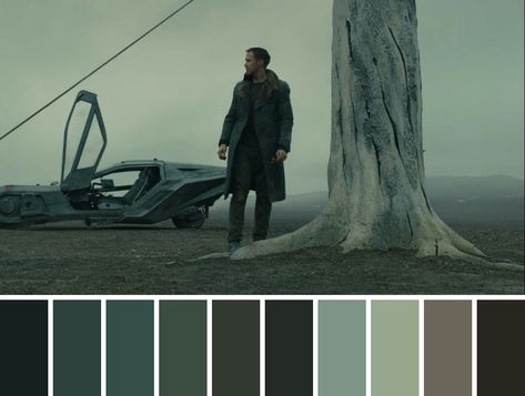 movie & film cinematography color palette Cinematic Color Pallet, Dystopian Colour Palette, Cinematic Pallet, Film Colour Grading, Movie Palette Color, Dystopian Color Palette, Cinematic Colour Palette, Military Color Palette, Dark Fantasy Color Palette