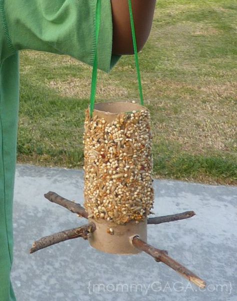 Make A Bird, Make A Bird Feeder, Bird Feeder Craft, Easy Bird, Fun Summer Crafts, Homemade Bird Feeders, Toilet Paper Tube, Diy Bird Feeder, Summer Crafts For Kids