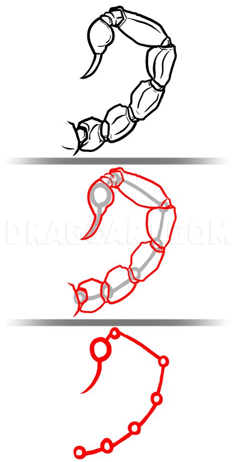 How To Draw Scorpion Step By Step, Scorpion Tail Drawing Reference, Scorpion Drawing Reference, Scorpion Oc Art, Easy Scorpion Drawing, How To Draw Scorpion, Scorpion Anatomy Drawing, Scorpion Tail Drawing, Cute Scorpion Drawing