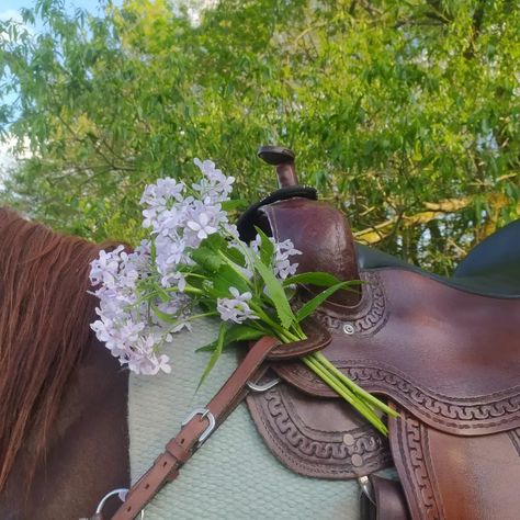 Fairy Cowgirl Aesthetic, Western Frontier Aesthetic, Country Horse Aesthetic, Cottage Cowgirl Aesthetic, Spring Aesthetic Widget, Trail Riding Aesthetic, Ranch Hand Aesthetic, 2000s Cowgirl, Saddle Aesthetic