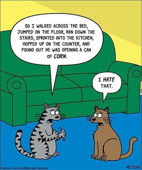 30 Funny Cat Comics By Scott Metzger That Might Make Every Cat Owner Cry With Laughter (New Pics) Humour, Animal Humour, Animal Comics, Funny Cat Jokes, Cat Cartoons, Cat Humor, Animal Humor, Cat Jokes, Cat Comics