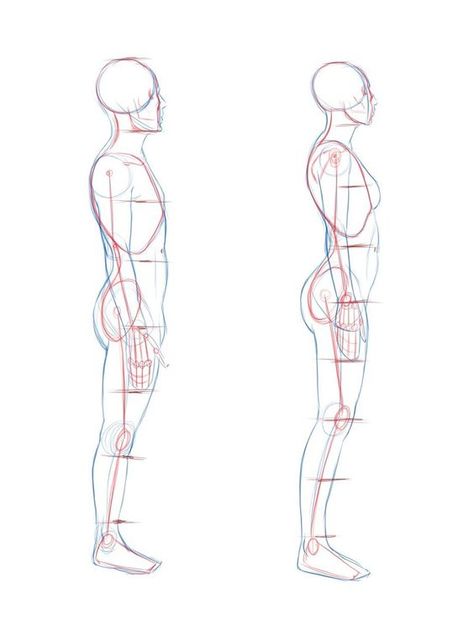 Human Figures, Male Side Anatomy, Above Perspective Pose, Side View Drawing, Male Figure Drawing, Human Body Drawing, Profile Drawing, Výtvarné Reference, Body Drawing Tutorial