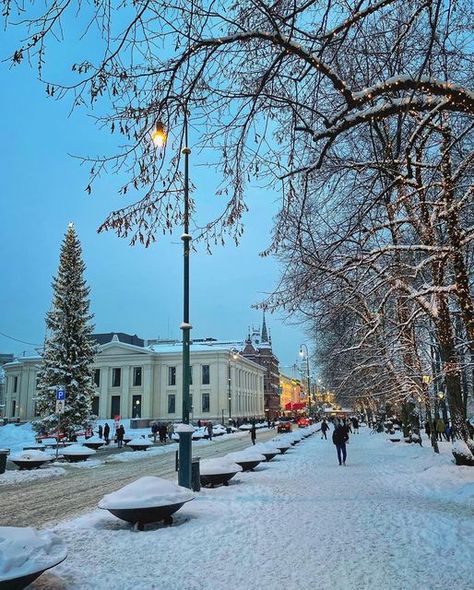 Latvian Aesthetic, Sweden Cities, Nordic Winter, Fotografi Alam Semula Jadi, Travel Wishlist, Winter Scenery, Snowy Day, Alam Semula Jadi, Winter Aesthetic