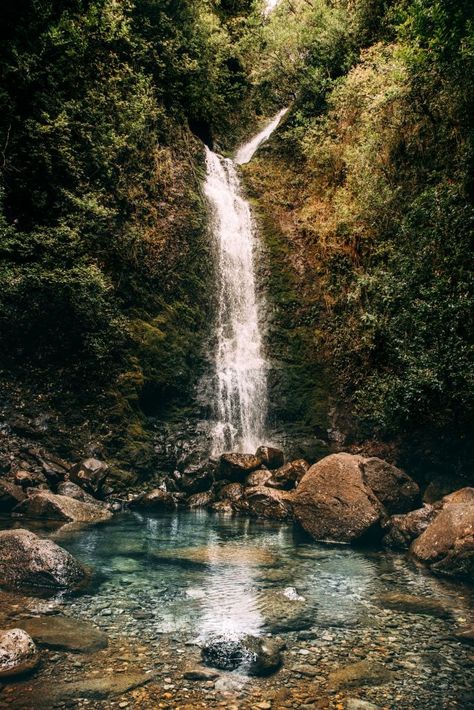 Hawaii Jungle, Waterfall Hike, Hawaii Pictures, Hawaii Photography, Waterfall Hikes, Air Terjun, Waterfall Photography, Hawaii Life, Lush Greenery