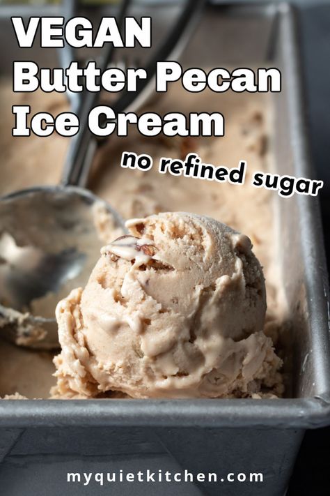 Vegan Ninja Creami Ice Cream Recipes, Coconut Based Ice Cream, Vegan Butter Pecan Ice Cream, Chickpea Ice Cream Vegan Recipes, Vegan Ice Cream Recipe Machine, Ninja Creami Vegan Ice Cream Recipes, Vegan Icecream Recipe, Vegan Ninja Creami Recipes, Vegan Ninja Creami