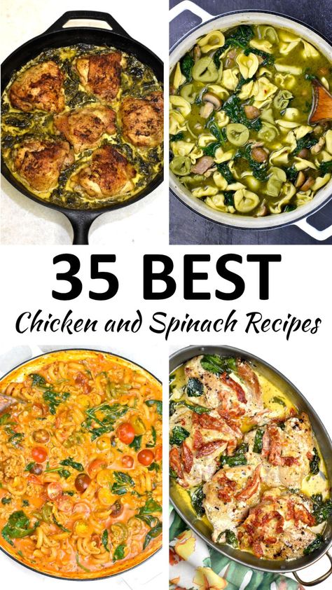 The 35 BEST Chicken and Spinach Recipes - GypsyPlate East Chicken Recipes, Chicken And Spinach Recipes, Chicken Spinach Recipes, Pasta Salad With Spinach, Chicken And Spinach, Lemon Chicken Soup, Pesto Tortellini, Feta Chicken, Creamy Lemon Chicken