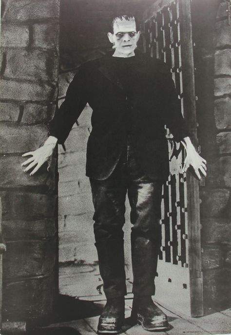 109. Frankenstein personality poster. Frankenstein Film, Frankenstein 1931, Classic Monster Movies, Book Tag, Victor Frankenstein, Gothic Novel, Boris Karloff, Horror Monsters, Famous Monsters