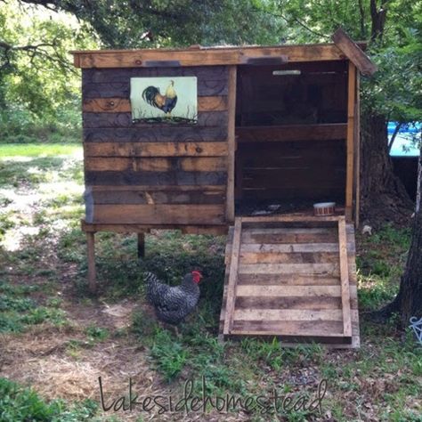 Lakeside Homestead : DIY Chicken Coop from pallets and scrapes Coop From Pallets, Chicken Coop From Pallets, Pallet Coop, Chicken Coop Designs Diy, Easy Diy Chicken Coop, Cheap Chicken Coops, Chicken Coop Pallets, Small Chicken Coops, Cute Chicken Coops