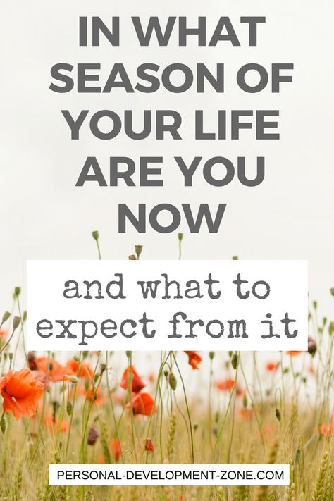 In what phase of your life are you now? The powerful model of Hudson called "The Seasons"  will help you discover in what chapter of your life you're going through right now and what to expect from it... Seasons of life | Personal development | self development | self growth | #personaldevelopment #selfgrowth #selflove #selfdiscovery Bullet Journal Topics, Life Seasons, Life Quotes Relationships, Journal Topics, Qoutes About Life, Retreat Ideas, Season Of Life, Self Growth, Ministry Ideas