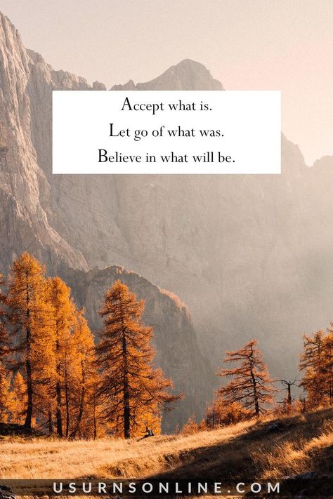 Letting Go Quote: Accept what is. Let go of what was. Believe in what will be Accepting Quotes, Let It Be Quotes, Quotes About Letting Go, Time Heals Everything, Johnny Depp Quotes, Resolution Quotes, Acceptance Quotes, About Letting Go, Go Quotes