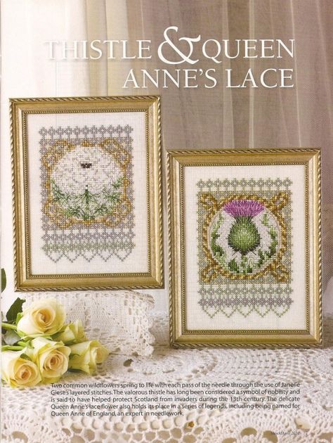 Thistle Cross Stitch Pattern, Thistle Cross Stitch, Common Wildflowers, Cross Stitch Gallery, Queen Anne's Lace Flowers, Anchor Threads, Cross Stitch Magazines, Just Cross Stitch, Pola Kristik