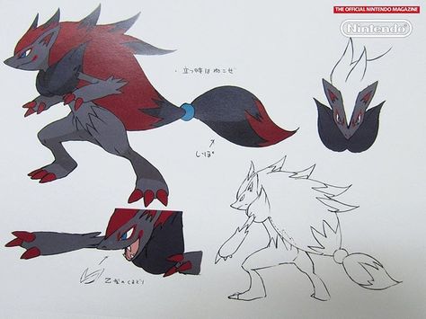 Zoruark Nintendo Magazine, Pokemon Cover, Dark Type Pokemon, Pokemon Zoroark, Pokemon Black And White, Zoroark Pokemon, Lucario Pokemon, Pokemon Official, Pokemon Black