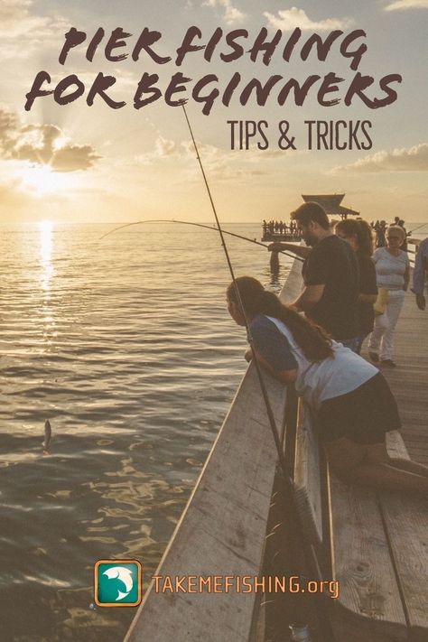 Surf Fishing Tips, Dock Fishing, Fish Tails, Fishing Traps, Fishing Tricks, Fish Chart, Best Fishing Lures, Florida Fishing, Fishing Basics