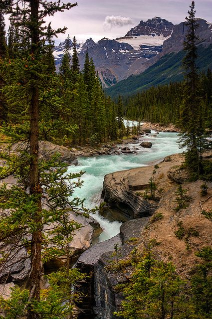 Beautiful Nature Scenes Country Roads, फोटोग्राफी 101, California Dreaming, Banff National Park, 판타지 아트, Alberta Canada, Fotografi Potret, Pretty Places, Nature Pictures