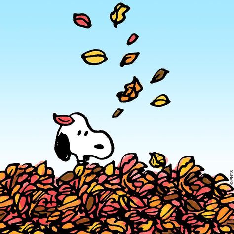 Fall Snoopy Fall, Wallpaper Snoopy, Peanuts Halloween, Peanuts Comic Strip, Cute Fall Wallpaper, Snoopy Wallpaper, Iphone Wallpaper Fall, Snoopy Pictures, Snoopy Quotes