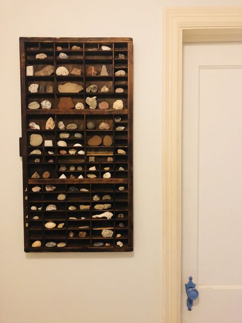 Rock Collection Display Shelf, Shelves For Rocks, Rock Storage Display, Heart Rock Collection Display, Diy Collection Display, Archeology Home Decor, Displaying Rock Collection, How To Display Trinkets, Decorating With Legos
