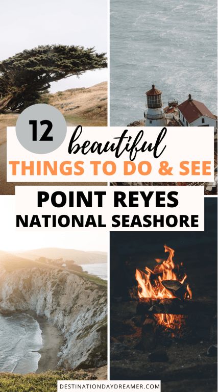 12 Perfect Things to do in Point Reyes National Seashore - Destination Daydreamer California Road Trips, Point Reyes California, Point Reyes Lighthouse, Northern California Road Trip, Redwoods California, California State Parks, West Coast Travel, Point Reyes National Seashore, Travel Points