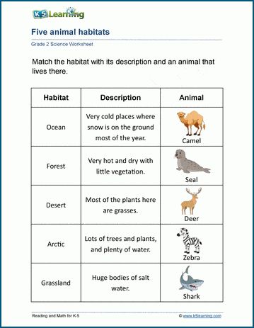 Animals worksheets - reviewing how animals live, what they eat, their habitats and adaptations, their anatomy, coverings and classification and their life cycles. Free | Printable | Grade 2 | Science | Worksheets Animal Adaptations Worksheet, Where Do Animals Live Worksheet, Animals Habitat Worksheet, Grade 2 Science Worksheets, Preschool Habitats, Habitat Worksheet, Animal Adaptations Activities, Animal Classification Worksheet, Animals And Habitats