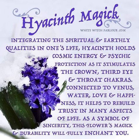 Friday Magic, Herbs Witch, Herb Magick, Herb Magic, Magickal Correspondences, Witch Recipes, Hyacinth Flower, The White Witch, Witch Names