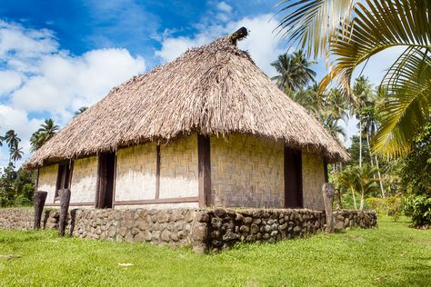 The roofs of a traditional Fijian bure house structure can also sway and bend so it can stand up to the strong winds of the cyclones. Fiji Village, Fijian Warrior, Fiji House, Fijian Culture, Delicious Food Ideas, House Structure, Natural Smile, Fiji Resort, Climate Adaptation