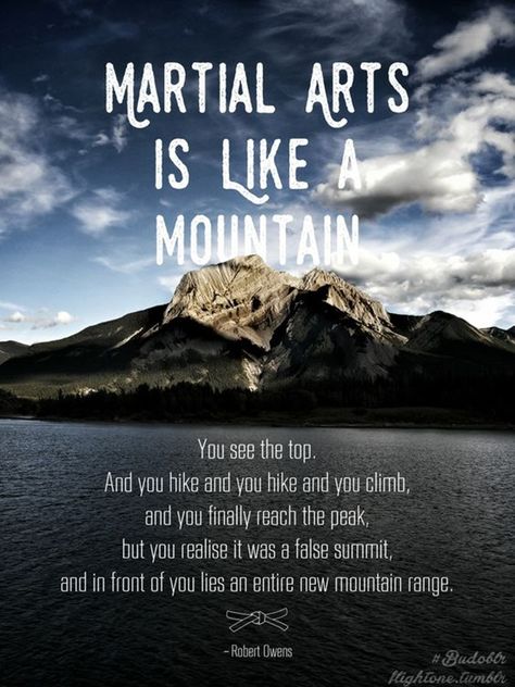 40 Inspirational Martial Art Quotes You Must Read Right Now - Bored Art Capoeira, Karate Quotes, Arts Quotes, Martial Arts Quotes, Trening Sztuk Walki, Shotokan Karate, Karate Martial Arts, Pencak Silat, Ju Jitsu