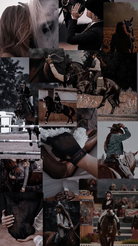 Collage, Horses, Funny Stories, Wallpaper Horses, Uk Pics, Horses Aesthetic, Horses Wallpaper, No Context, What The Heck