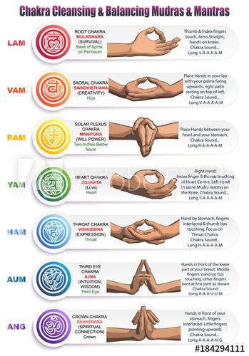 Hand Mudras, Chakra Health, Arte Yoga, Ashtanga Vinyasa Yoga, Yoga Kundalini, Chakra Affirmations, Latihan Yoga, Yoga Mantras, Chakra System