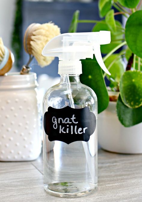 Gnat Repellant, Fruit Fly Spray, Gnat Spray, Gnats In House Plants, Fruit Fly Killer, Fruit Flies In House, Homemade Bug Spray, How To Get Rid Of Gnats, Ant Spray