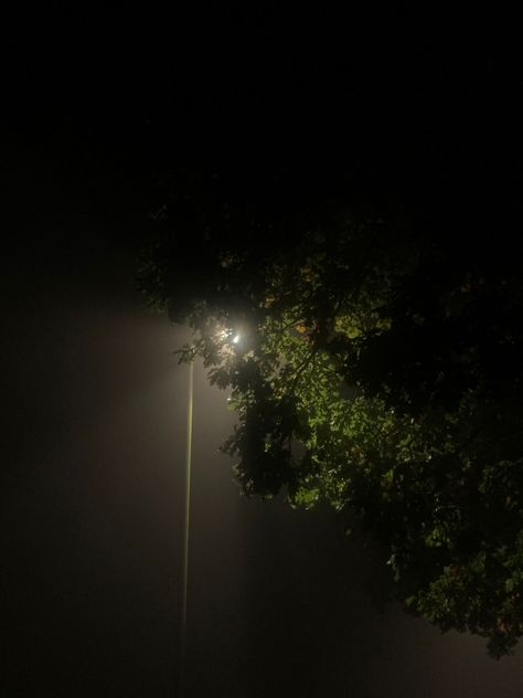 Dark night out. foggy autumn Foggy Night Aesthetic, Luminal Space, Foggy Autumn, Quiet Photos, Misty Night, Foggy Night, Night Flight, Dream Journal, Night Photos