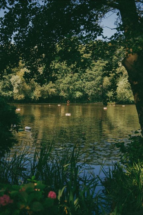 // this time next year book Hampstead Ponds, Swimming Ponds, Lake Swimming, Hampstead London, London Dreams, London Living, Wild Swimming, Hampstead Heath, London Aesthetic