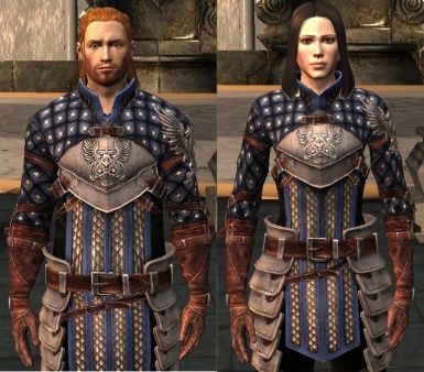 Grey Wardens rogue Grey Warden Armor, Warden Armor, Skyrim Concept Art, Dragon Age Comics, Grey Warden, Dragon Age Series, Creative Eye, Fantasy Armor, Dragon Age