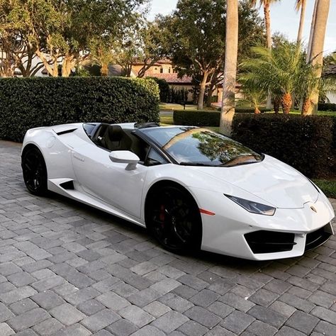 Lamborghini Huracan Sto, Huracan Sto, Lamborghini Huracan Spyder, Luxury Cars For Sale, Sports Cars Lamborghini, Aesthetic Cool, Lamborghini Cars, Car Aesthetic, Jaguar Car